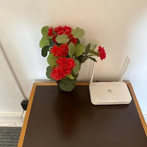 Rose View Гостевой дом